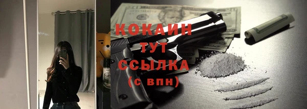твердый Алзамай