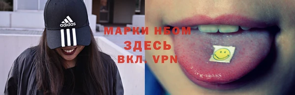 apvp Алексин