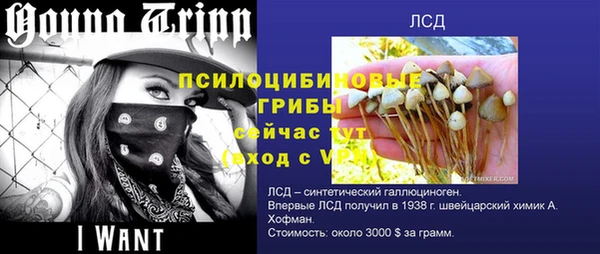 apvp Алексин