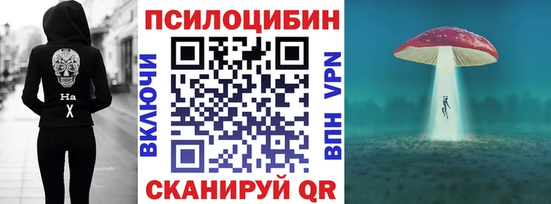 Псилоцибиновые грибы Psilocybine cubensis  Чернушка 